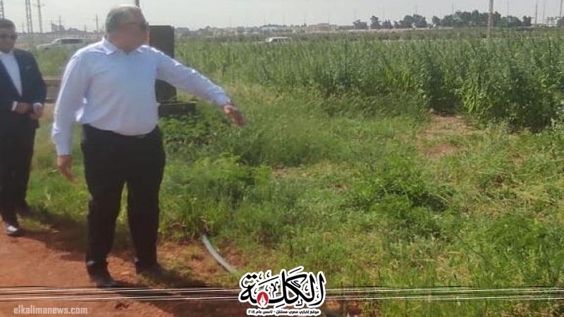 وزير الزراعة يقوم بزيارة مفاجئة للمحطة البحثية بالاسماعيليه ويوجه برفع كفاءتها خلال شهر وزير الزراعة يقوم بزيارة مفاجئة للمحطة البحثية بالاسماعيليه ويوجه برفع كفاءتها خلال شهر