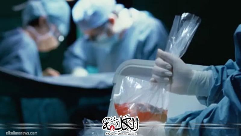 بوابة الكلمة