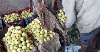 الزراعة تنفي شائعات ديدان الجوافة: المحصول كويس