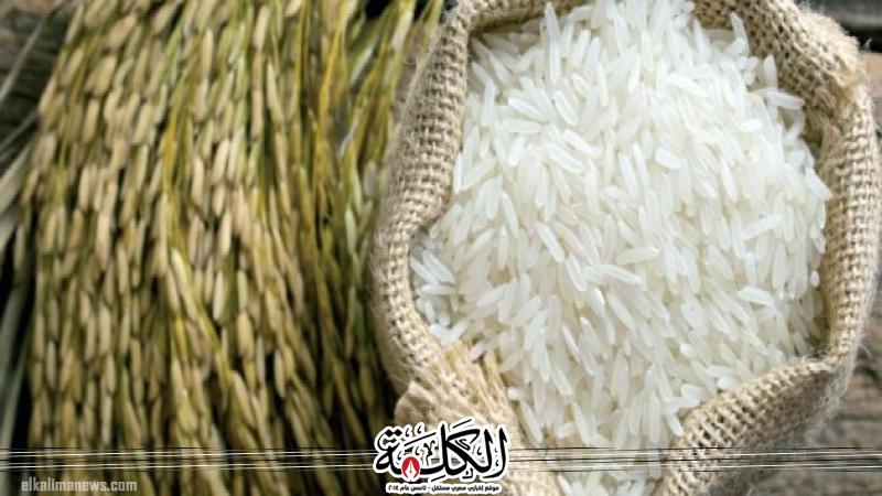 بوابة الكلمة