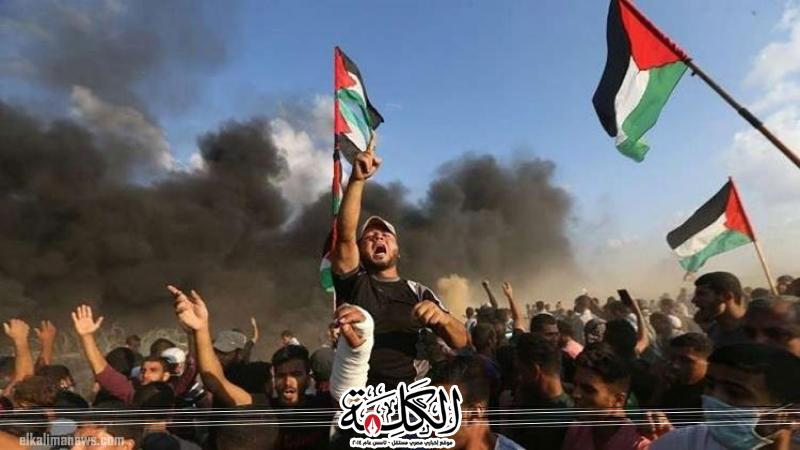 بوابة الكلمة