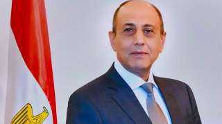 وزير الطيران يهنئ رئيس منظمة الإيكاو .. ويؤكد التزام مصر بتعزيز أمن وسلامة الطيران