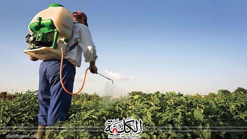 الحكومة تنفى تداول مبيدات زراعية محظورة تتسبب في تسمم المحاصيل بالأسواق الحكومة تنفى تداول مبيدات زراعية محظورة تتسبب في تسمم المحاصيل بالأسواق