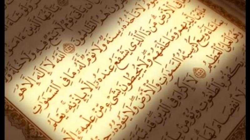 أحمد عمر هاشم يكشف فضل قراءة آية الكرسي.. فيديو