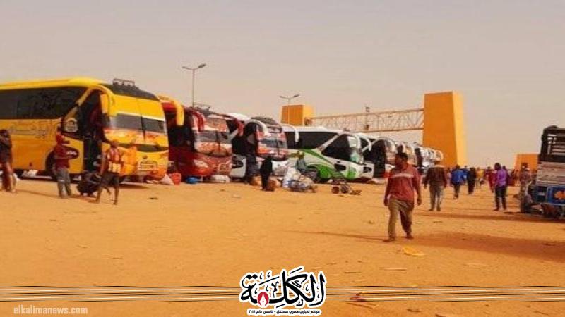 تفاصيل وصول الوافدين من الأراضي السودانية فيديو تفاصيل وصول الوافدين من الأراضي السودانية فيديو