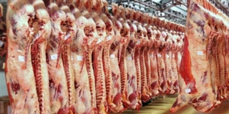 نقيب الجزارين: نتوقع انخفاض أسعار اللحوم الفترة المقبلة