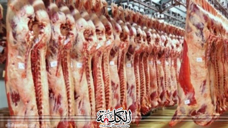 نقيب الجزارين نتوقع انخفاض أسعار اللحوم الفترة المقبلة نقيب الجزارين نتوقع انخفاض أسعار اللحوم الفترة المقبلة