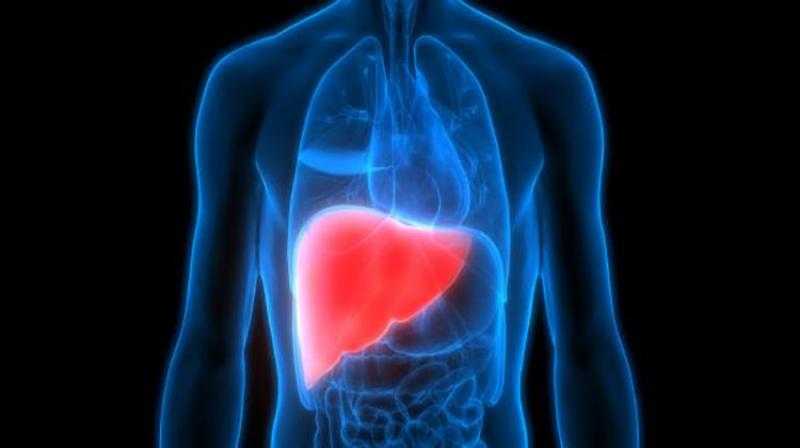 هل غيبوبة الكبد تسبب الوفاة.. حسام موافى يكشف الأسباب وطرق الوقاية| فيديو
