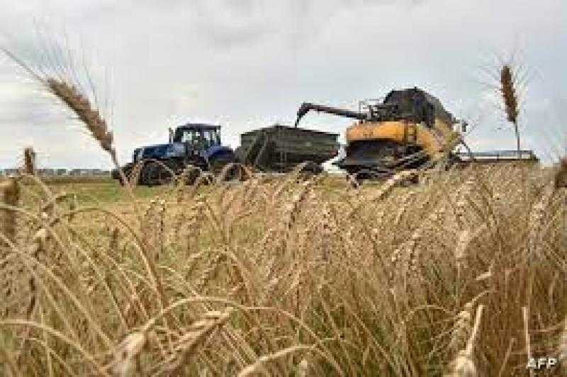 أستاذ الاقتصاد الزراعي: انسحاب روسيا من اتفاقية الحبوب رفع الأسعار 15%