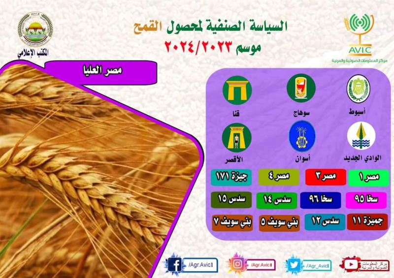 بوابة الكلمة