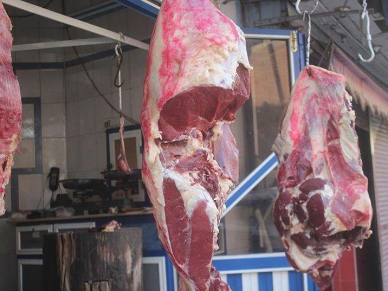 بوابة الكلمة