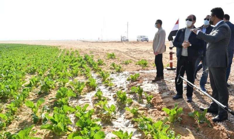 بوابة الكلمة