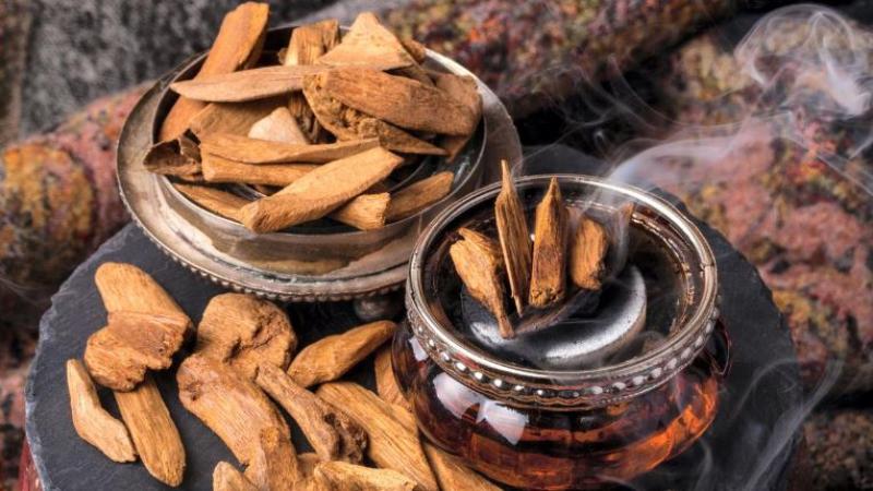 بوابة الكلمة