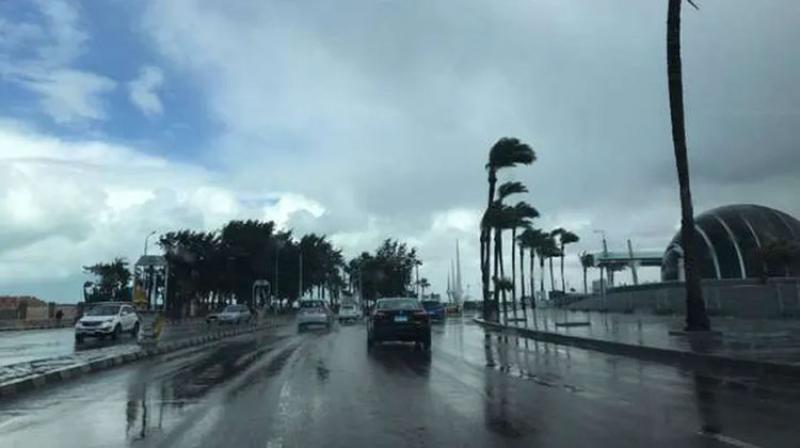 بوابة الكلمة