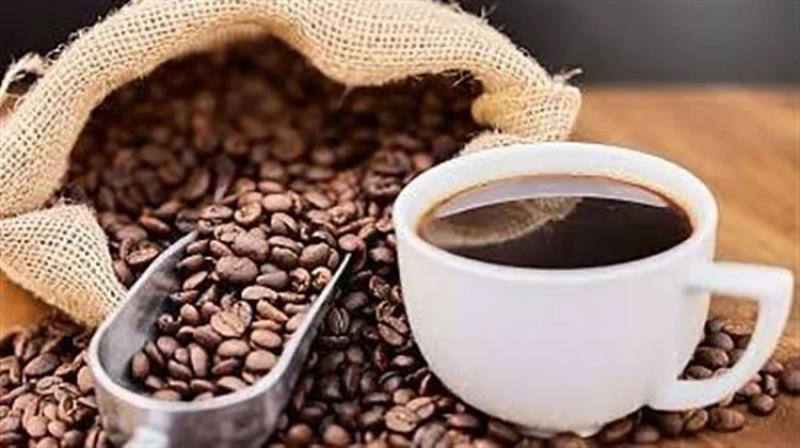 بوابة الكلمة