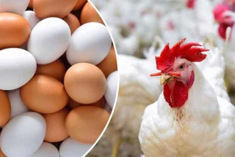 بوابة الكلمة