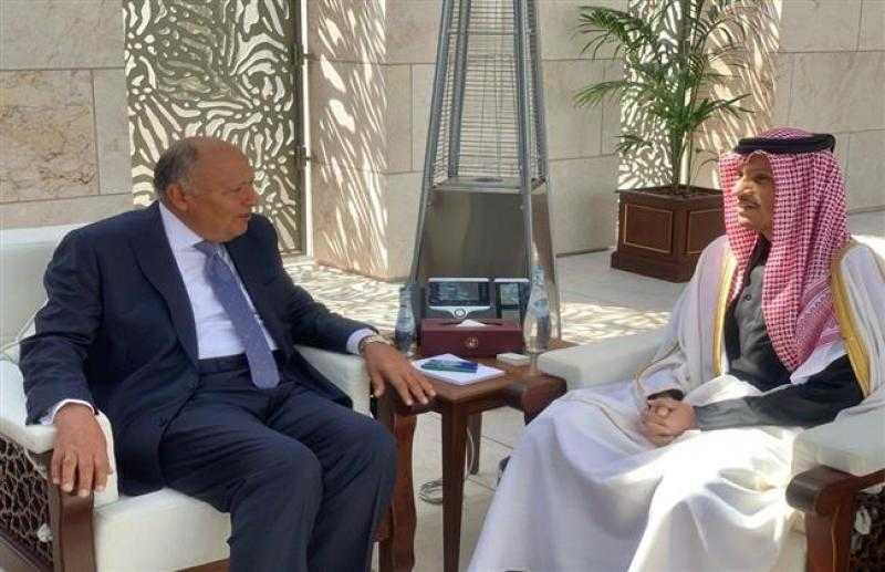 وزير الخارجية سامح شكري يعقد اجتماعاً ثنائياً مع رئيس مجلس الوزراء في قطر