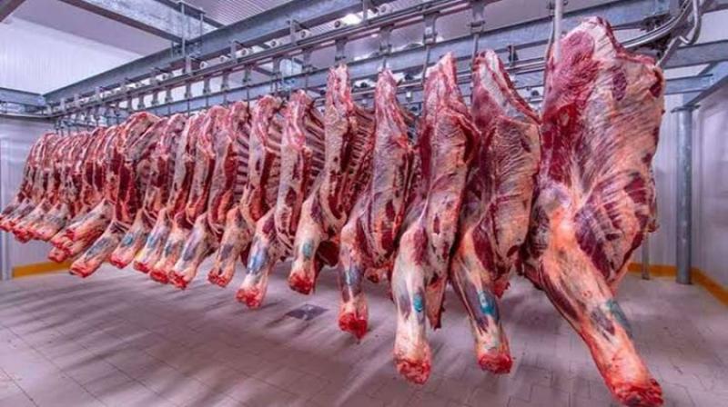 بوابة الكلمة