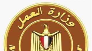 وزارة العمل تعلن عن فرص عمل للمصريين فى الإمارات