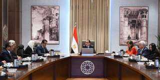 رئيس الوزراء يتابع تنفيذ محاور المشروع القومي لتنمية الأسرة المصرية
