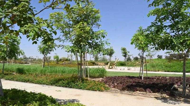 وزير الإسكان: زرعنا 46 ألف شجرة ونخلة مثمرة وغير مثمرة بمشروع الحدائق المركزية ”كابيتال بارك” بالعاصمة
