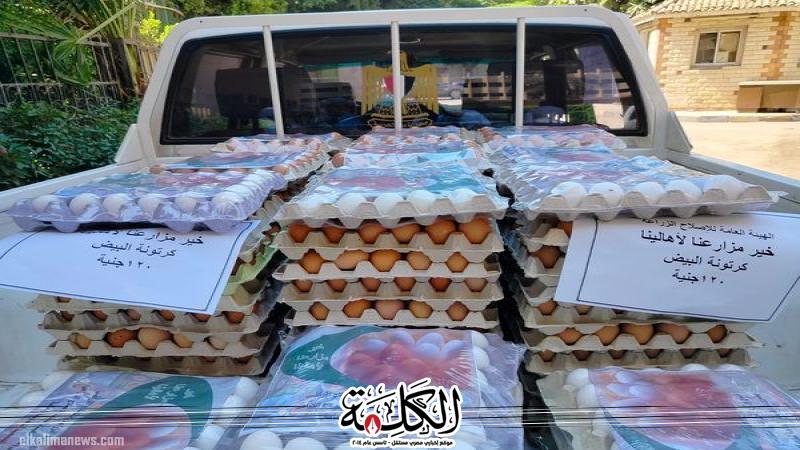الزراعة تطرح كميات من بيض المائدة للبيع للمواطنين بسعر ١٢٠ جنيه للكرتونة الزراعة تطرح كميات من بيض المائدة للبيع للمواطنين بسعر ١٢٠ جنيه للكرتونة