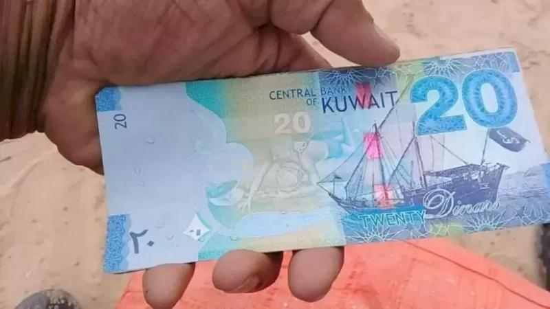 بوابة الكلمة