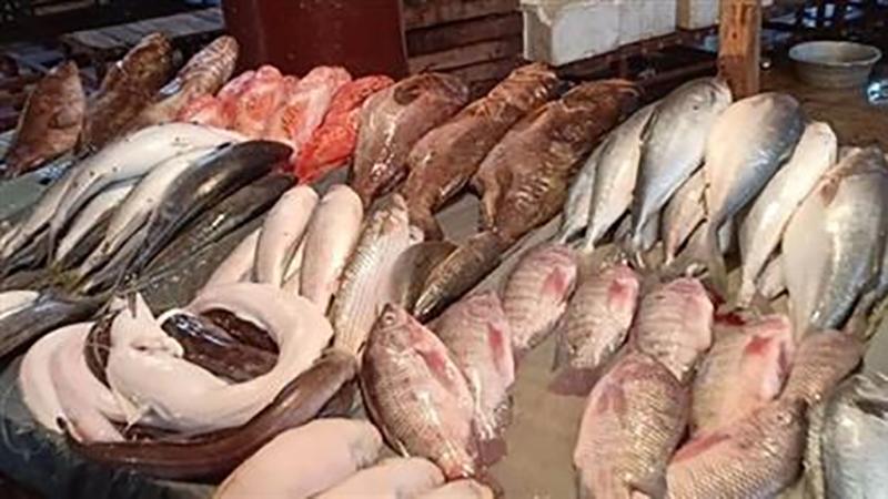 بوابة الكلمة