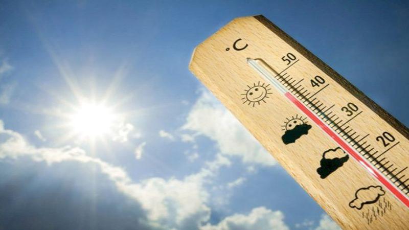 بوابة الكلمة