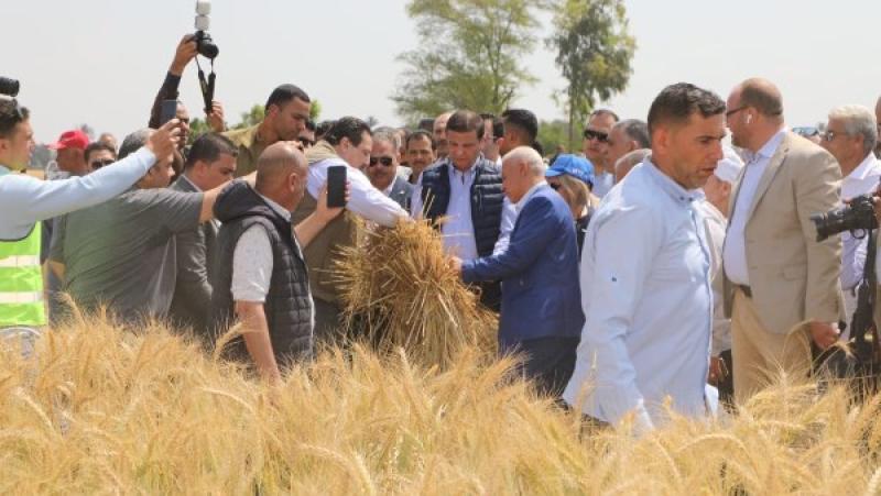 بوابة الكلمة