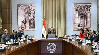رئيس الوزراء يستعرض مشروع تطوير المنظومة الالكترونية لإنهاء إجراءات وصول السائحين إلى المطارات المصرية