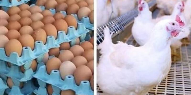 بوابة الكلمة