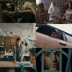 ٣٧ فيلمًا في صالات السينما و٣٢ فيلمًا على منصة cmena.nl