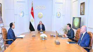 رعاجل.. الرئيس السيسي يجتمع مع وزير الصحة والسكان