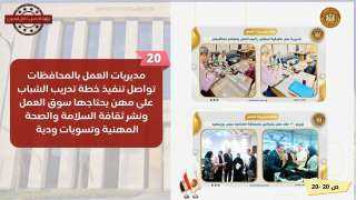 الحصاد الأسبوعى لوزارة العمل