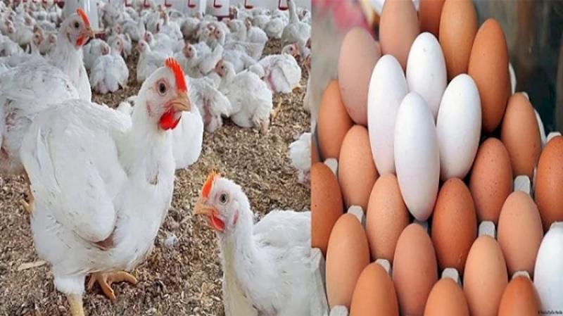 بوابة الكلمة