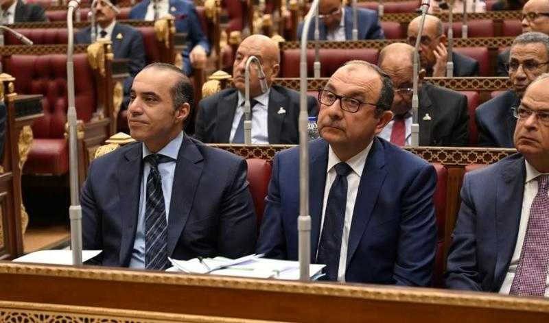 وزير الشئون النيابية يحضر جلسة مجلس الشيوخ بشأن مشروع قانون خطة التنمية الاقتصادية والاجتماعية للعام المالي 2025- 2026