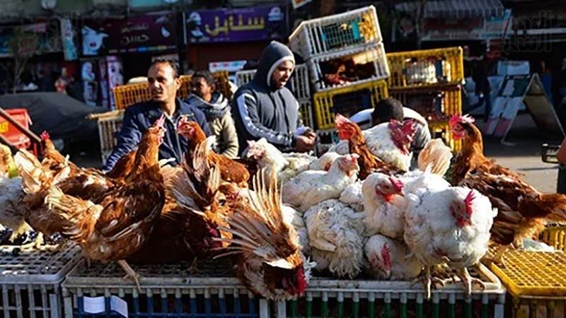 بوابة الكلمة