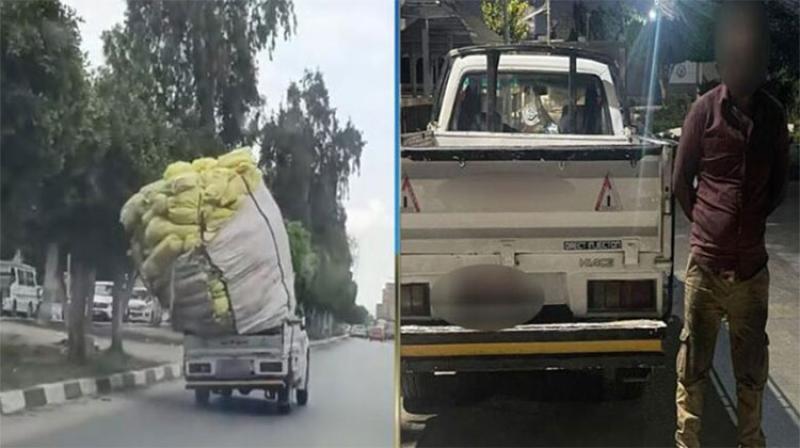 بوابة الكلمة