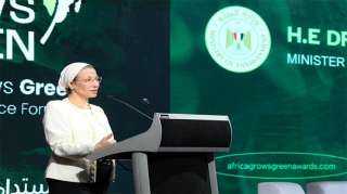 وزيرة البيئة تدعو للعمل المشترك لتنفيذ مشروعات خضراء قابلة للتطوير محليا وأفريقيا