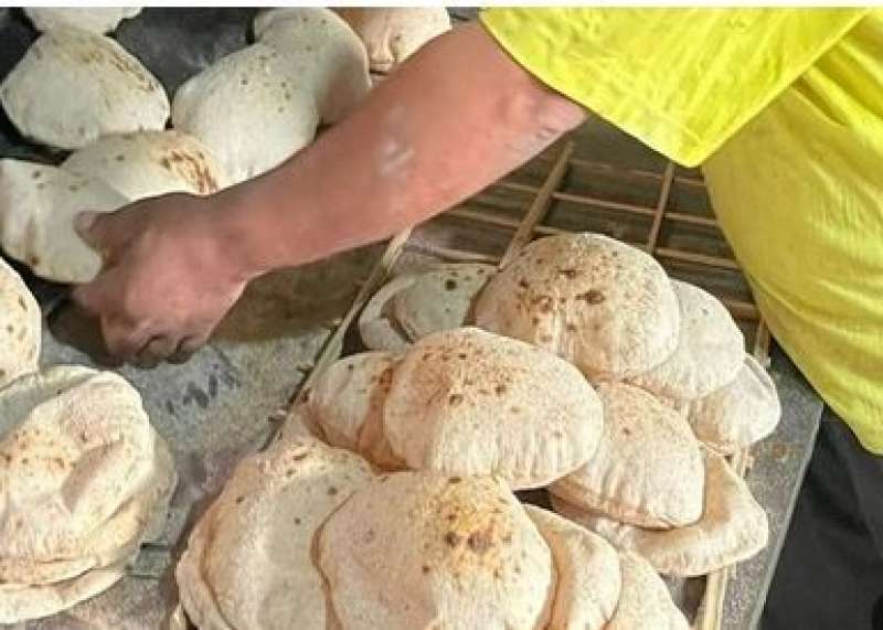بوابة الكلمة