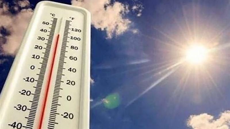 بوابة الكلمة