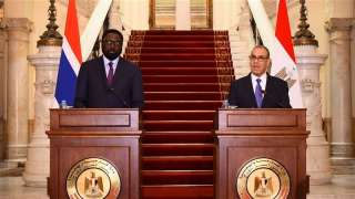 وزير الخارجية والهجرة يجرى مشاورات سياسية مع وزير الخارجية جامبيا