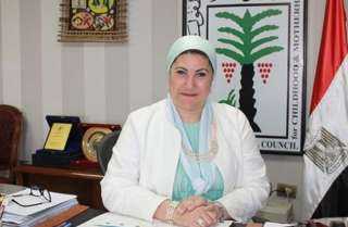 الطفولة والأمومة يتدخل لإنقاذ الطفلة المعتدى عليها في واقعة الفيديو المتداول بمنطقة المهندسين