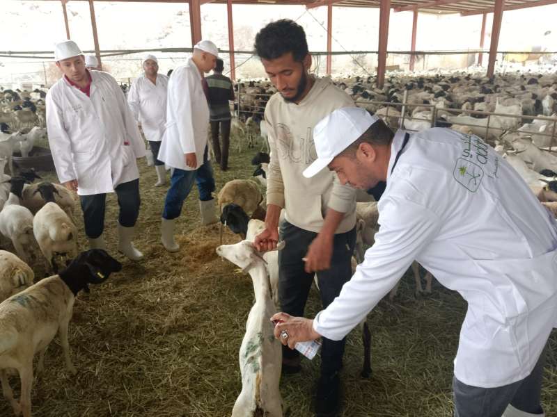 بوابة الكلمة