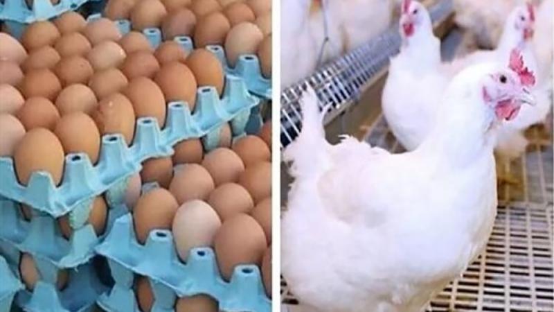 بوابة الكلمة