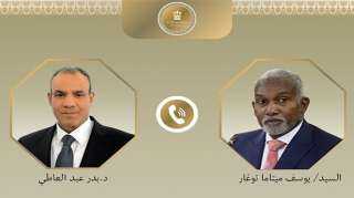 اتصال هاتفى بين وزير الخارجية والهجرة ونظيره النيجيري