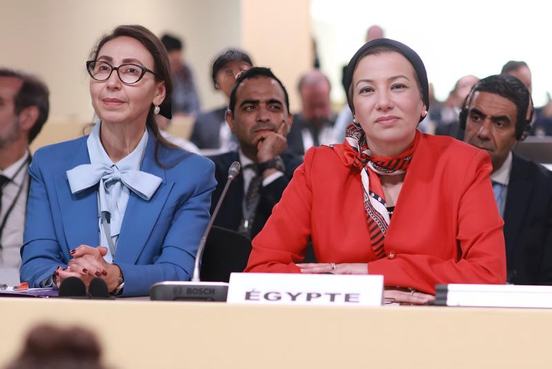 بوابة الكلمة