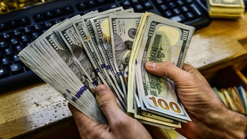 بوابة الكلمة
