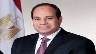 الرئيس السيسي يجتمع مع رئيس مجلس إدارة الهيئة العربية للتصنيع
